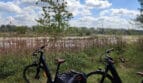 Rowery elektryczne podczas wycieczki nad Wisłą w okolicy Piotrawina