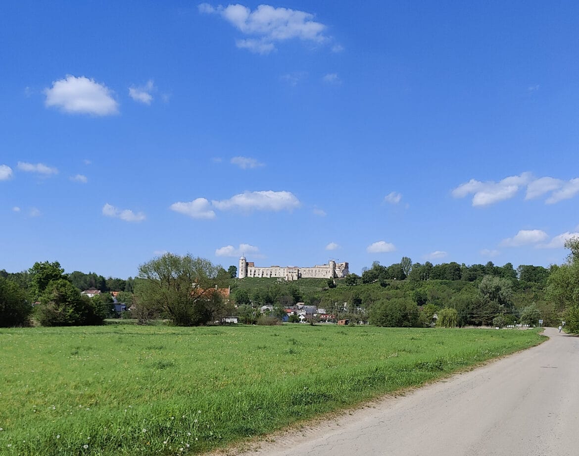 Zamek w Janowcu widoczny na wzgórzu