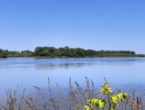 Spływ kajakowy Wisłą w okolicy Piotrawina