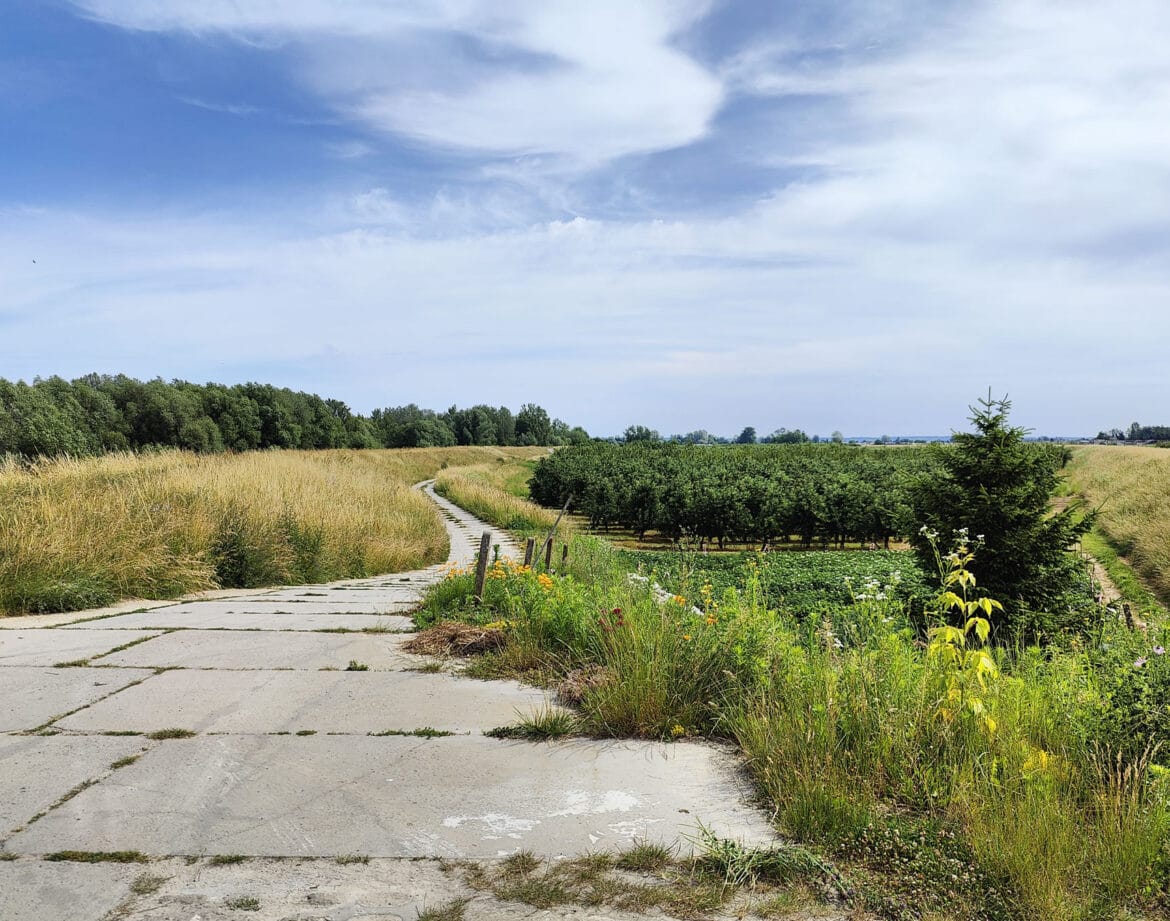 Trasy rowerowe i drogi polne wzdłuż Wisły